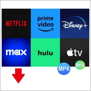 Pazu StreamGet All-In-One Video Downloader 2.4.0