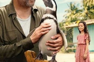 Meu Amigo Pinguim (2024) WEB-DL 720p/1080p Dual Áudio