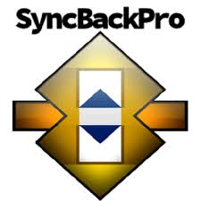 SyncBack Pro 11.3.56 + Portable