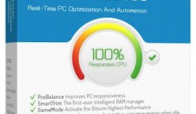 Bitsum Process Lasso Pro 12.5.0.38 - CRACKEADO PT-BR