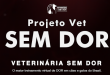 Projeto Veterinário Sem dor