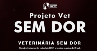 Projeto Veterinário Sem dor