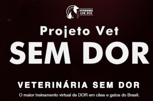 Projeto Veterinário Sem dor