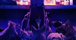 Dogman (2023) WEB-DL 1080p Dual Áudio