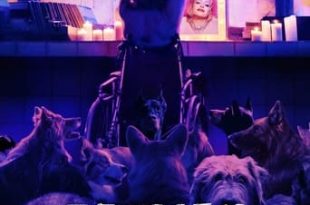 Dogman (2023) WEB-DL 1080p Dual Áudio