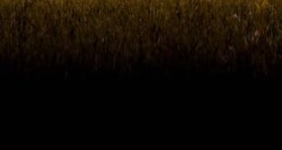 Propriedade (2022) WEB-DL 1080p Nacional