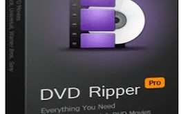 WonderFox DVD Ripper Pro 23.0 com crack