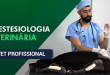 Baixar Grátis – Anestesia Veterinária de Pequenos Animais