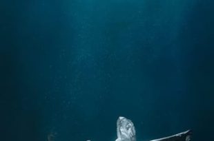 Parallax (2023) WEB-DL 1080p Dual Áudio