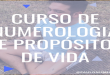 Baixar Grátis – Curso de Numerologia com Propósito de Vida