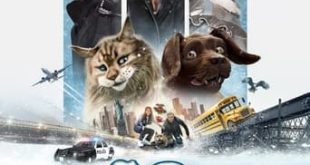 Gato Galactico e o Feitiço do Tempo (2024) WEB-DL 1080p Nacional