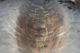 Mufasa: O Rei Leão (2025) HDRip 720p/1080p Dual Áudio