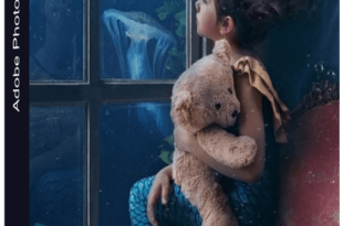 Adobe Photoshop v22
