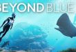 Beyond Blue The Tropical Reef-Torrent-Download