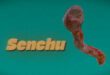 Senchu-Torrent-Download