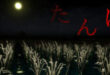 The Paddy Field-Torrent-Download