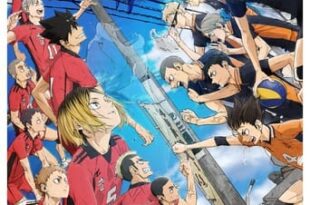 Haikyuu!! A Batalha do Lixão (2024) WEB-DL 1080p Dual Áudio