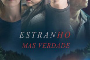 Estranho Mas Verdade (2019) WEB-DL 1080p Dual Áudio