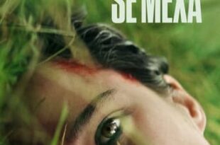 Não Se Mexa (2024) WEB-DL 1080p Dual Áudio